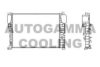 AUTOGAMMA 104801 Radiator, engine cooling